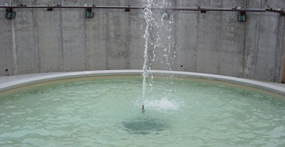 higenizacion-agua-fuentes